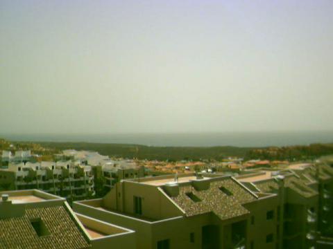 Palm-Mar view